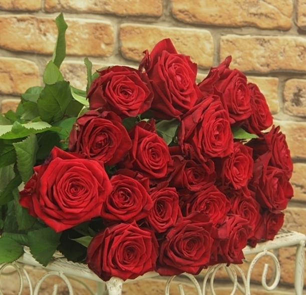 <span style="font-weight: bold;">Роза&nbsp;Red Naomi</span><br>